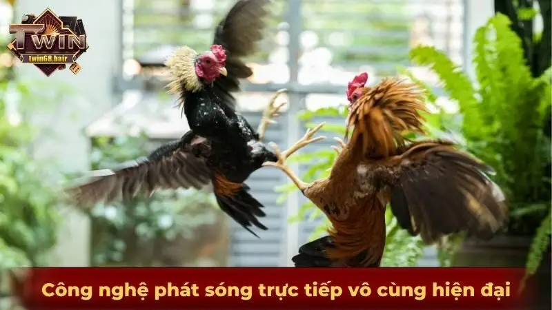 Đá gà TWIN68 - Trải nghiệm đá gà đẳng cấp nhất thế kỷ thứ 21 3 Công nghệ phát sóng trực tiếp vô cùng hiện đại