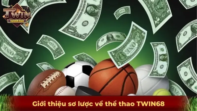 Thể thao TWIN68 - Sân chơi gây sốt cộng đồng đam mê cá cược 2 Giới thiệu sơ lược về thể thao TWIN68